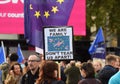 Anti Brexit demonstrators / protesters in London on October 19 2019